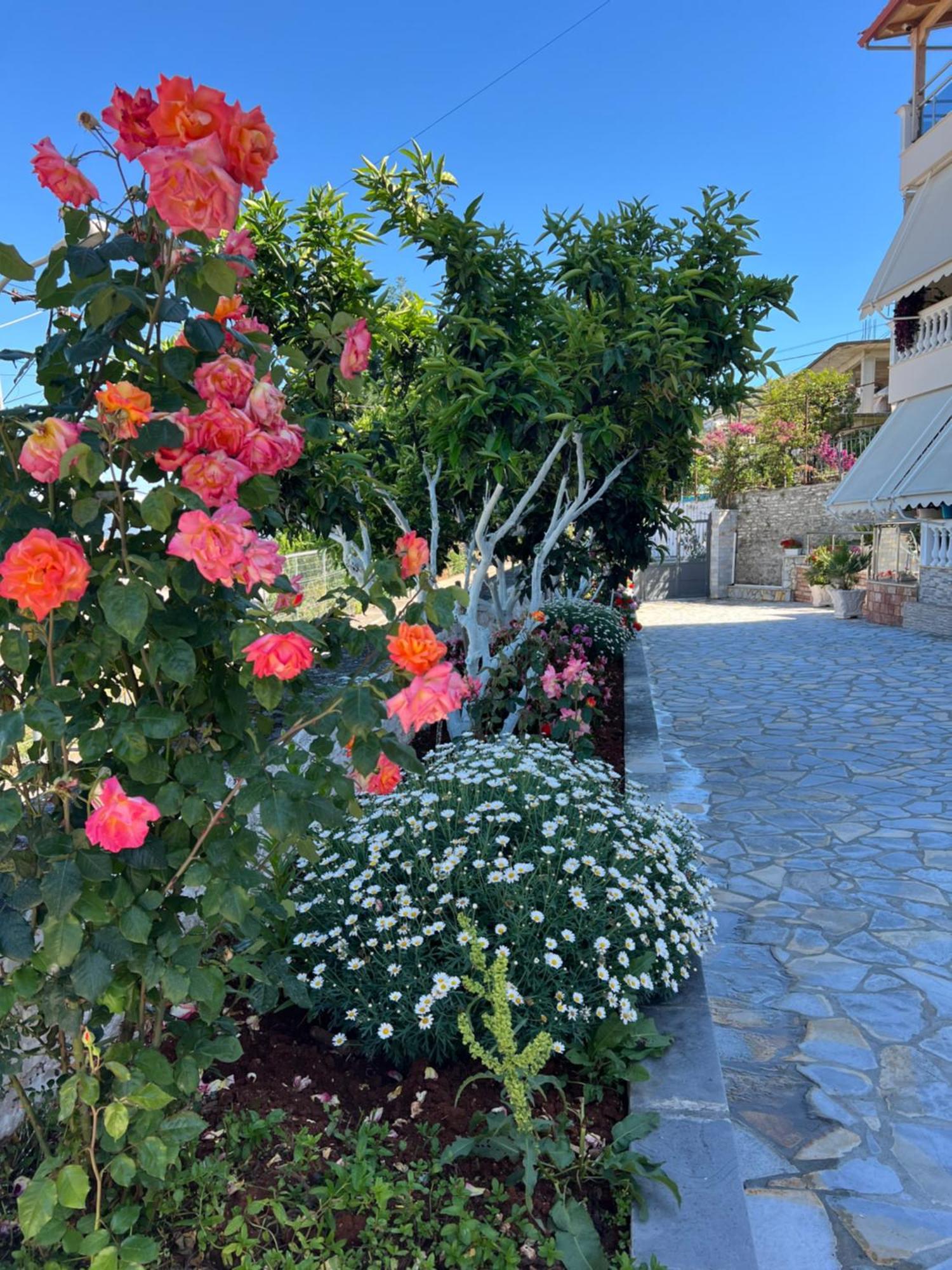 Amazing Familiar Apartments And Rooms Sarandë 외부 사진