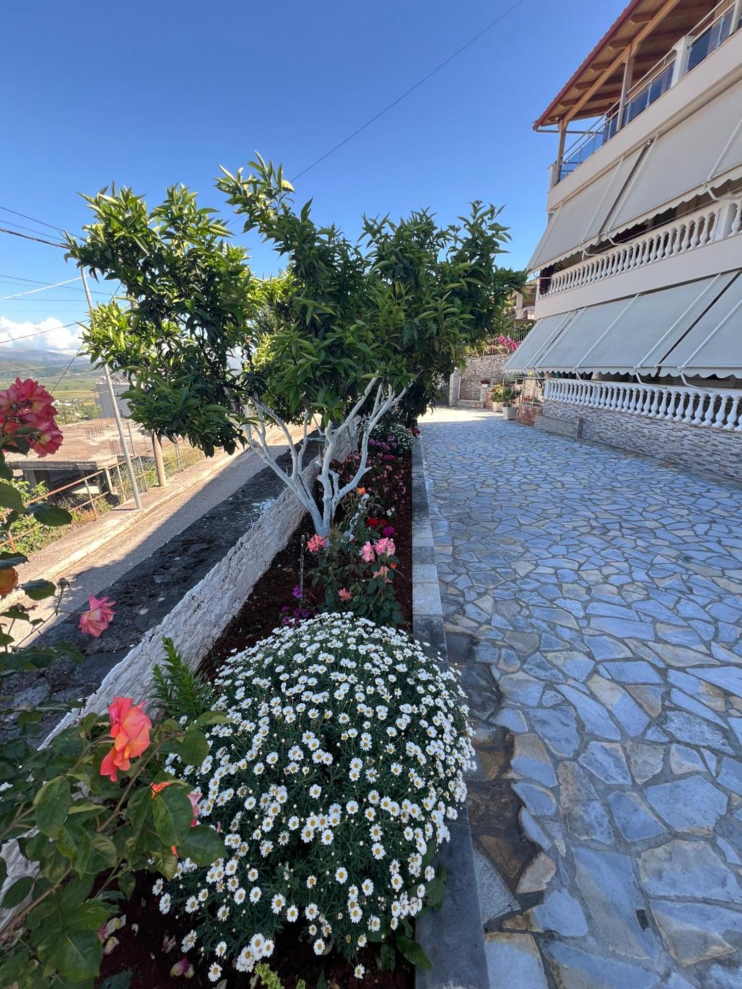 Amazing Familiar Apartments And Rooms Sarandë 외부 사진