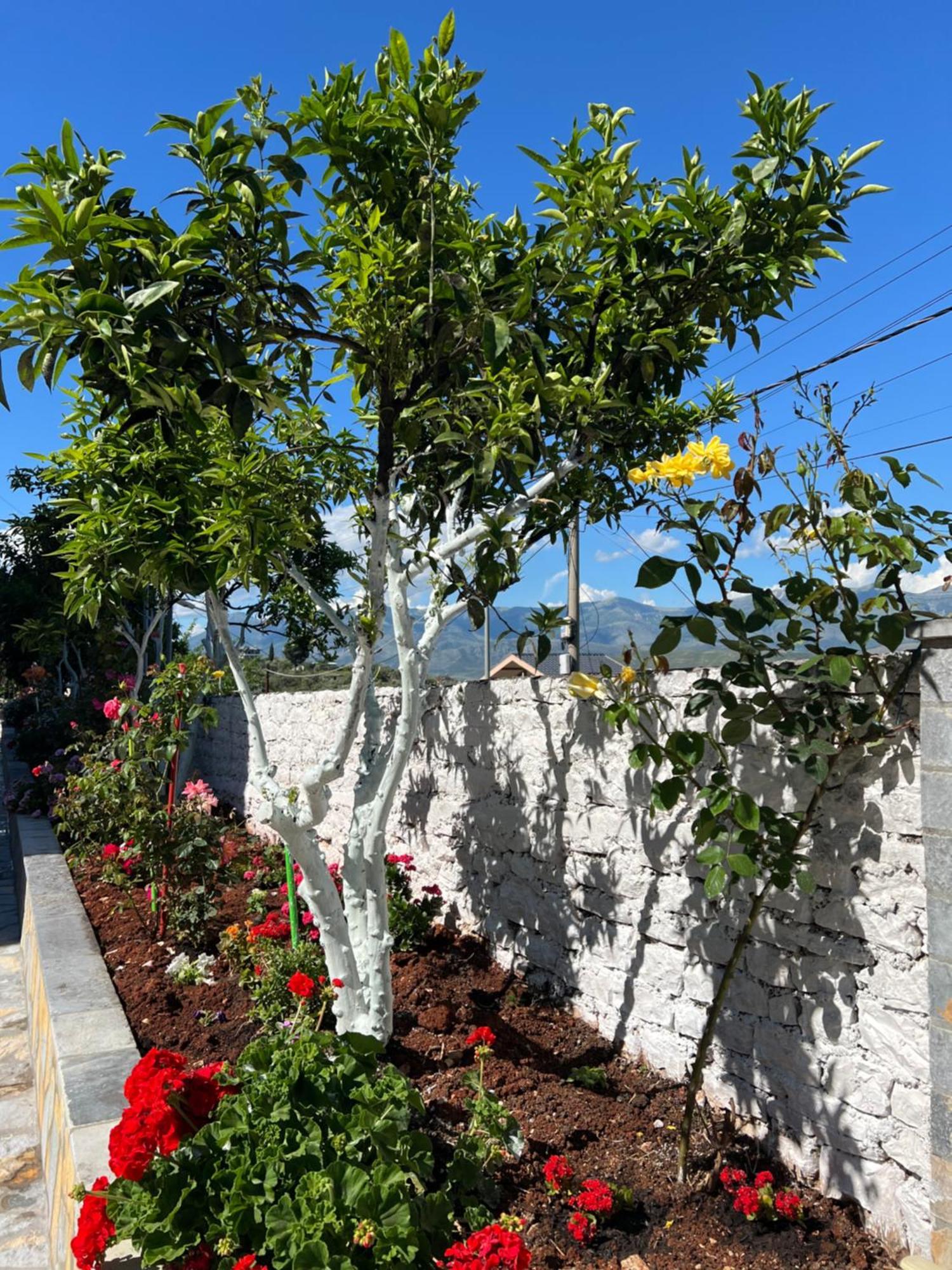 Amazing Familiar Apartments And Rooms Sarandë 외부 사진